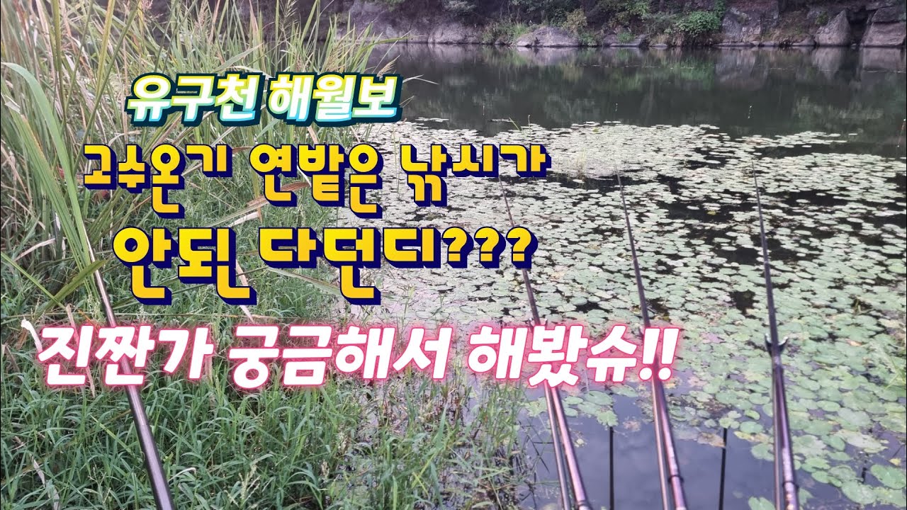 유구천!!고수온기 연밭은 낚시가 안된다구? 진짠가 궁금해서 해봤슈!!