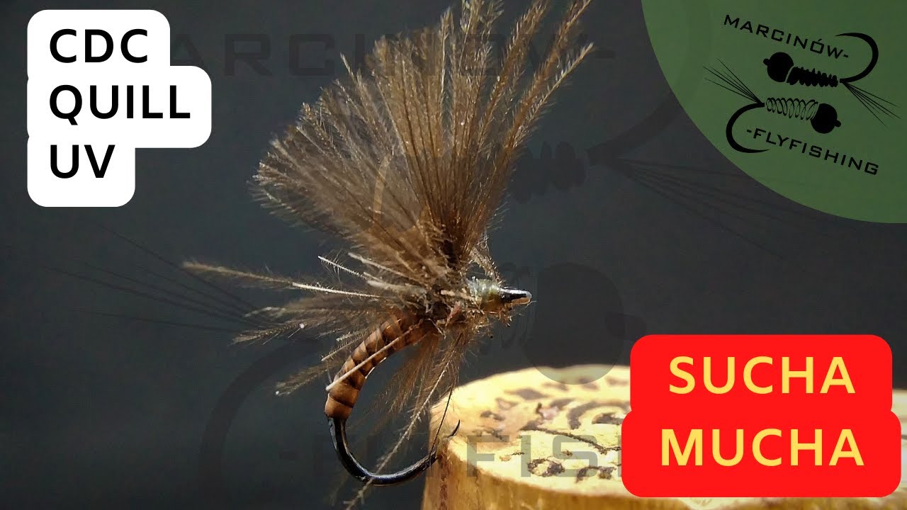Sucha mucha #3 | Sucha mucha z CDC i quill-em | Wędkarstwo muchowe