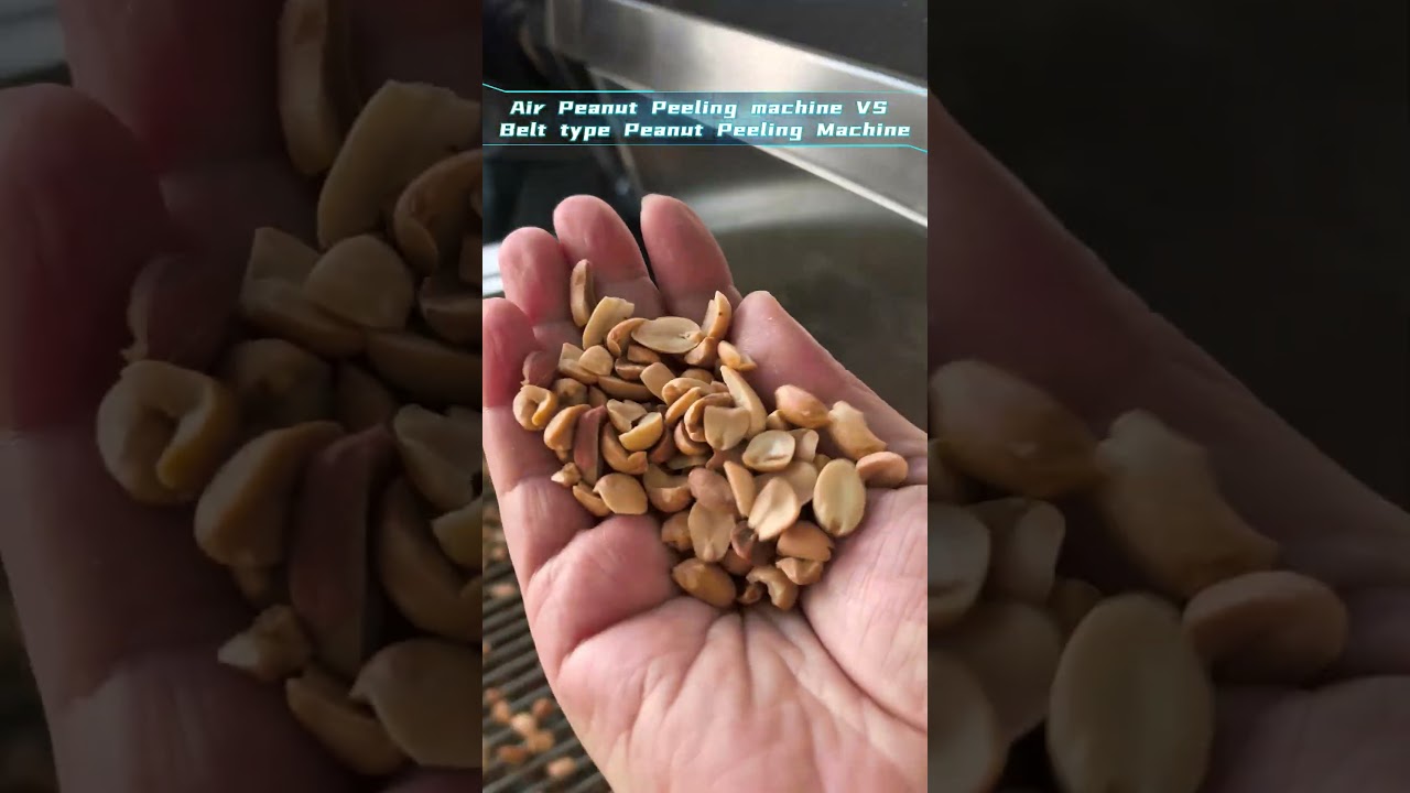 Air roasted peanut peeling Machine vs Belt type peanut peeling Machine #foodmachinery