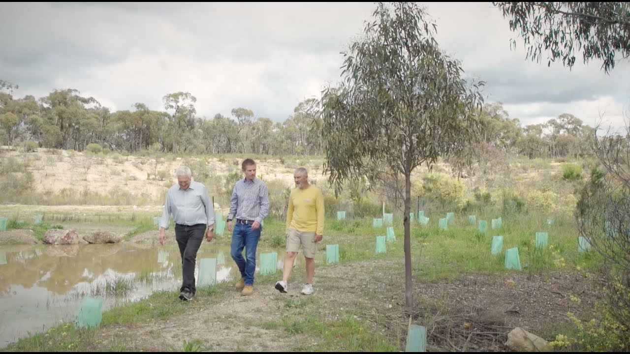 Honeyeater Bushland Reserve | Agnico Eagle Australia | Fosterville Gold Mine