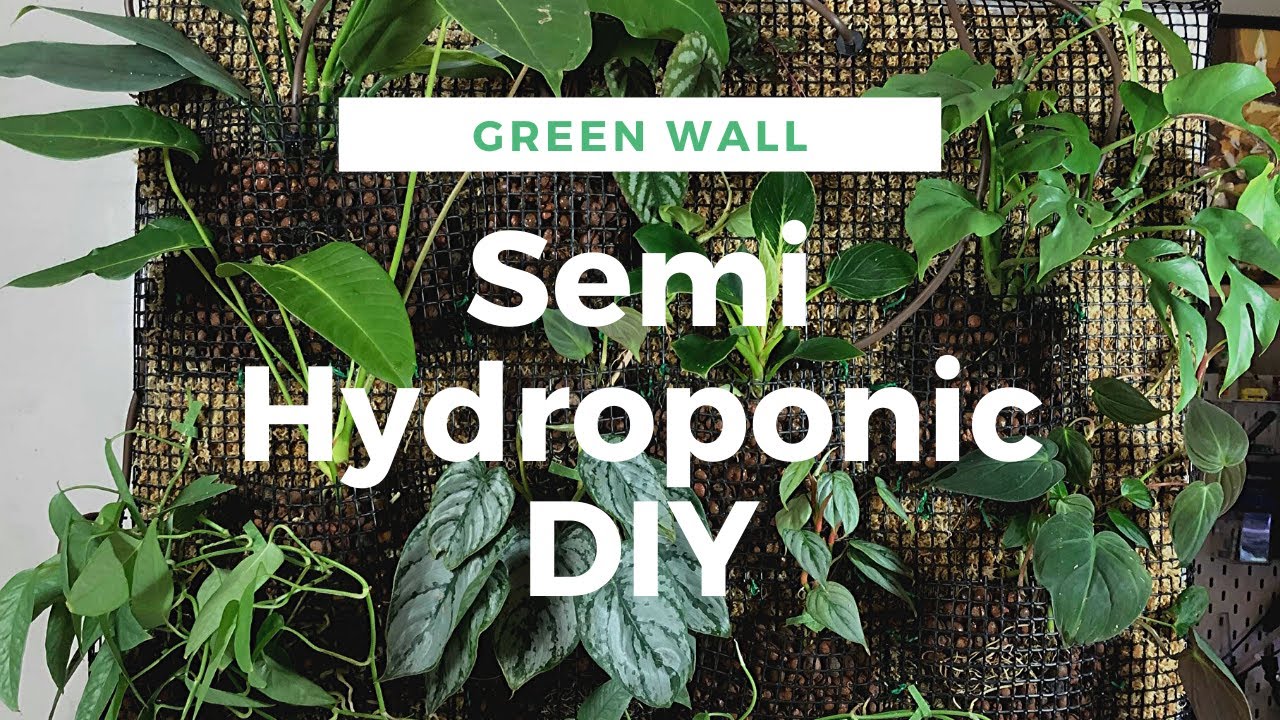 DIY--Living Wall in Semi Hydroponic | Dripping System Green Wall