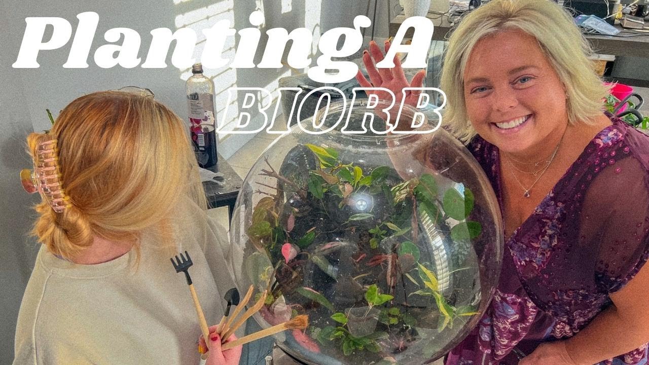 Repotting Plants In A Biorb | Trimming Old Plants & Adding New Tropical Plants!