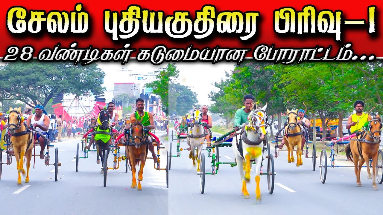 சேலம் புதிய குதிரை பிரிவு-1 18-01-2026 பந்தயம் Selam horse race#krish_studio_kattumavadi