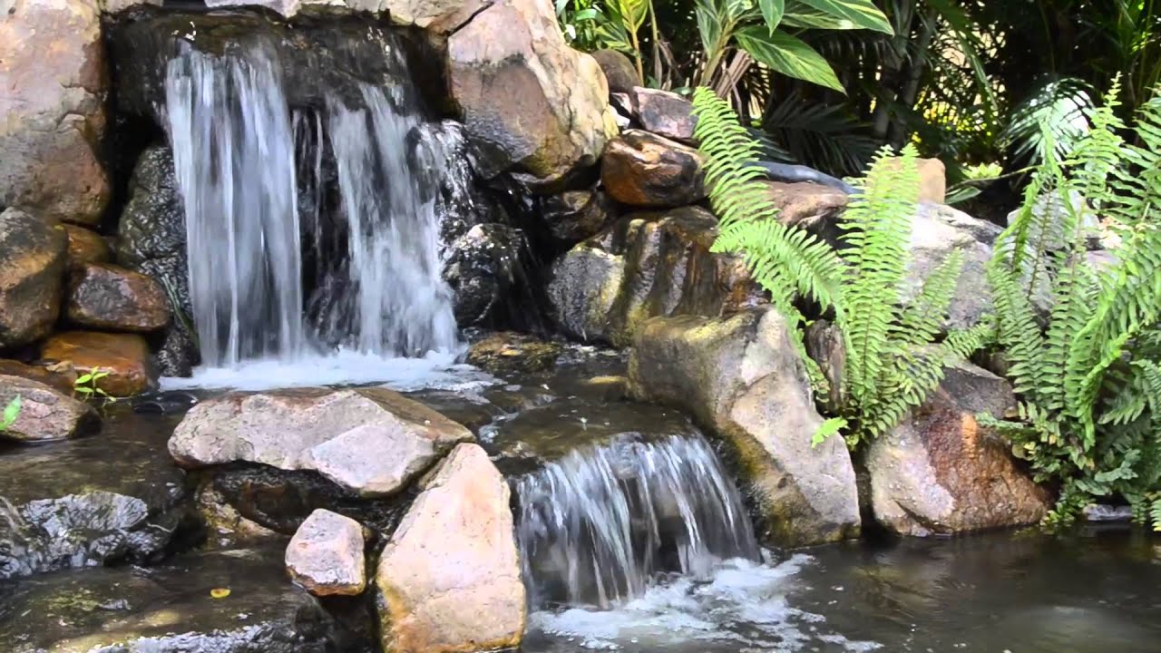 Tranquil Waterscapes South Florida Koi Ponds and Waterfalls