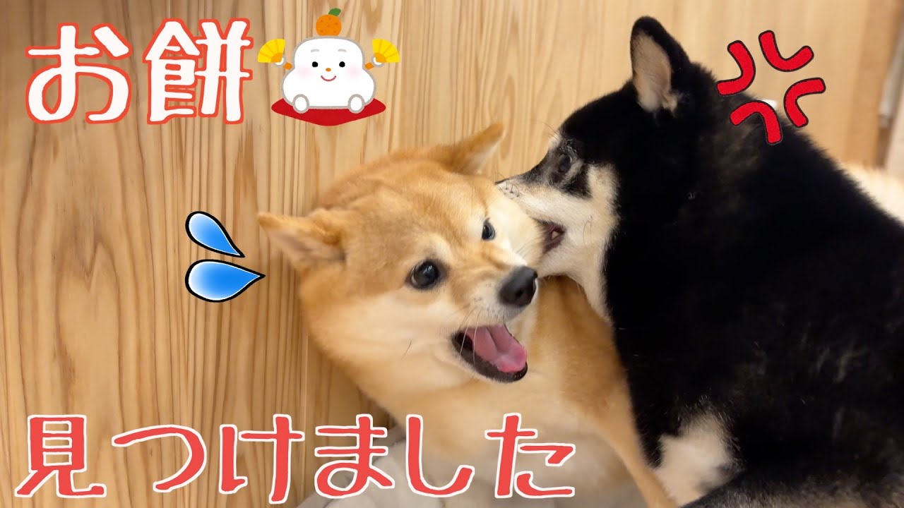 今年の正月もお餅が食べたかったみたいです....