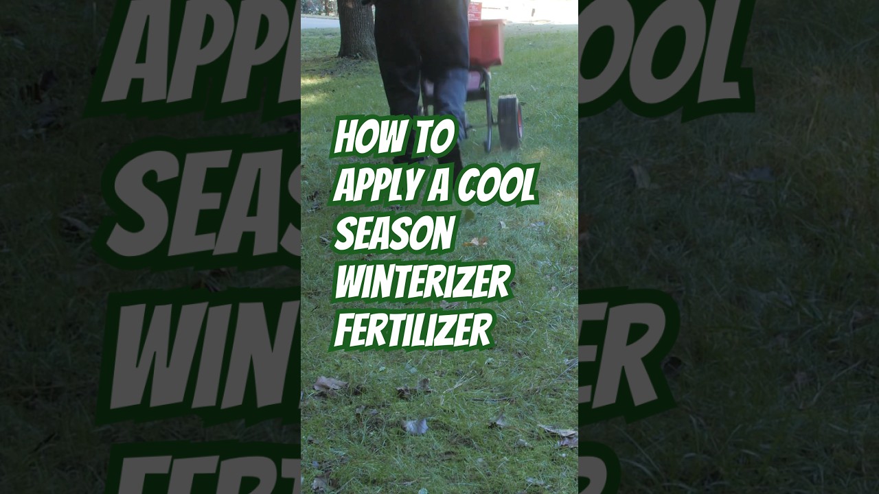 What is Fall Winterizer Fertilizer? | Cool Season Grass Care Tips from DoMyOwn.com