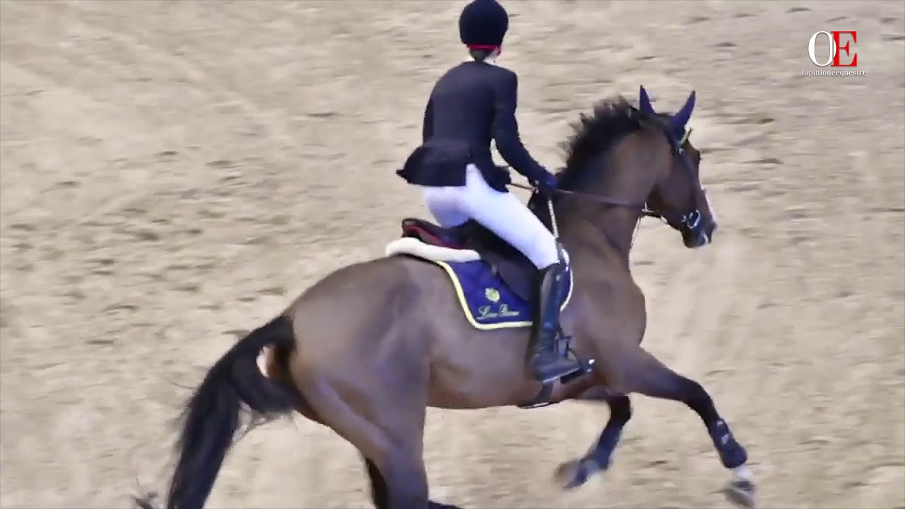 OE TV 3. Matilde Borromeo with Deante | Milano Winter Show 2017 CSI1* Sunday h.120/125