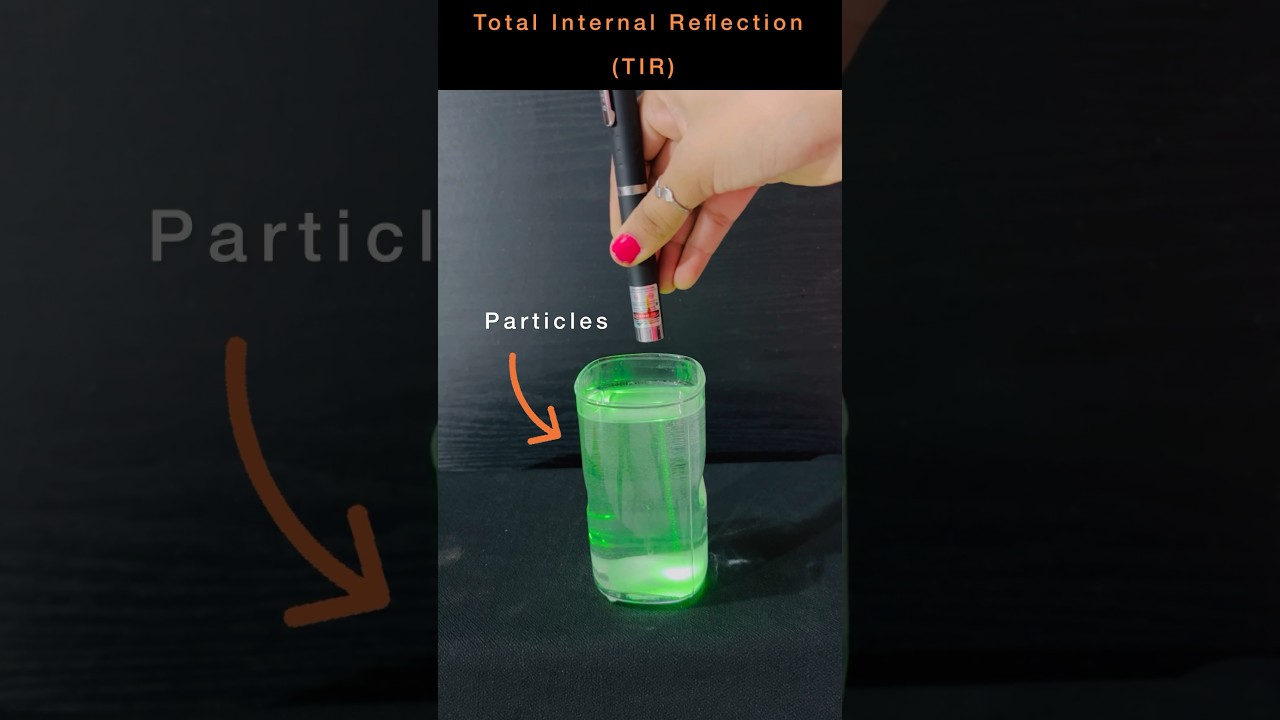 Total internal Reflection | Physics | Light Chapter | #shorts #reflection #physics #experiment #asmr