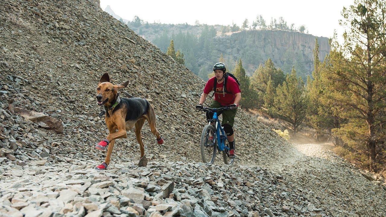 How to Fit Ruffwear Grip Trex™ Dog Boots