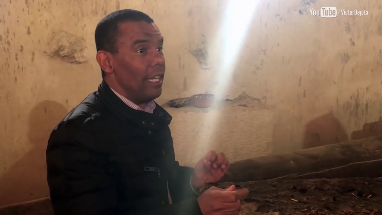 A importância do azeite - símbolo biblico