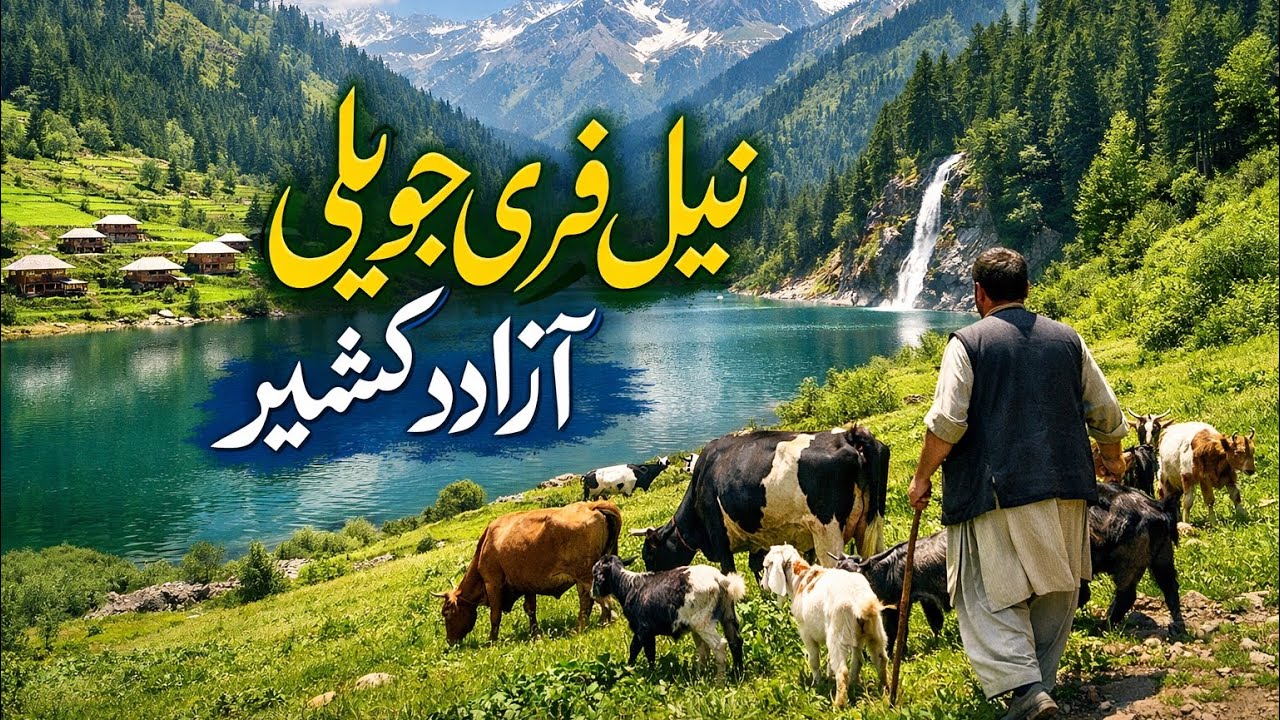 نیل فری حویلی آزاد کشمیر کے حسین مناظر | سرسبز وادیا پانی اور چراگاہیں | Viral Nature View