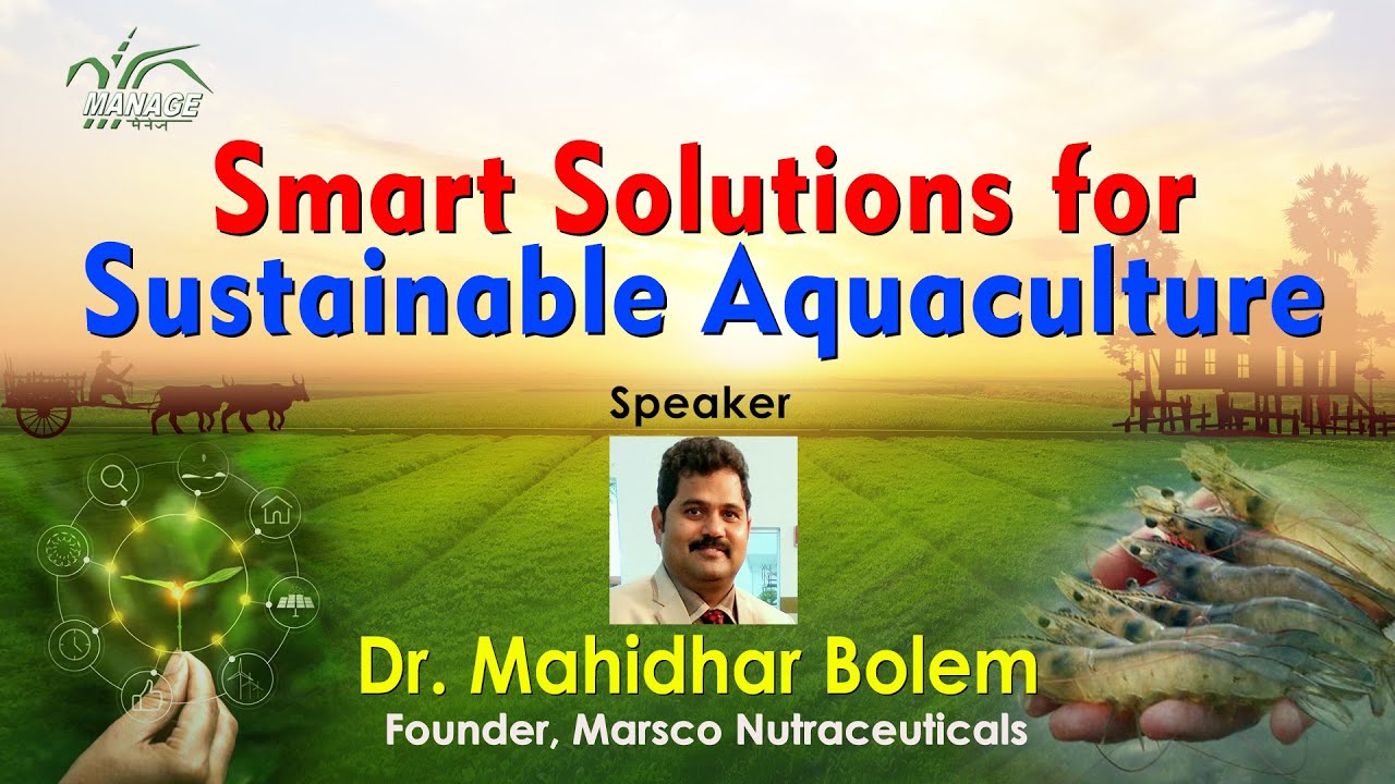 Smart Solutions for Sustainable Aquaculture