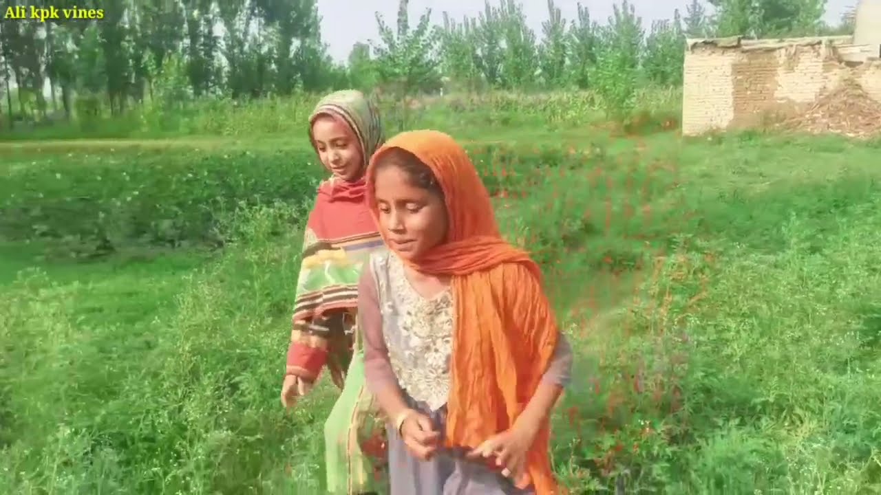 14 August Pashto New Islahi Video Short Drama 2024 By Ali kpk Vines#trendeng