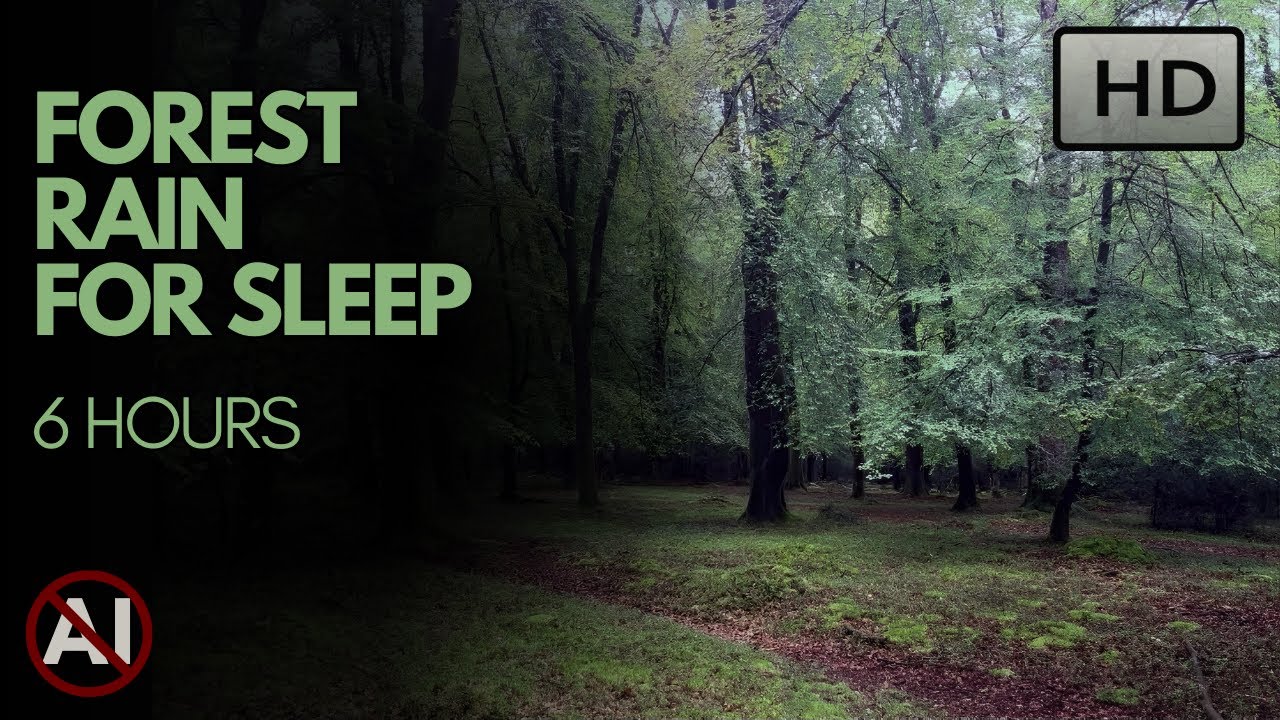 Calm forest rain sounds for sleeping, studying, and meditation. No AI