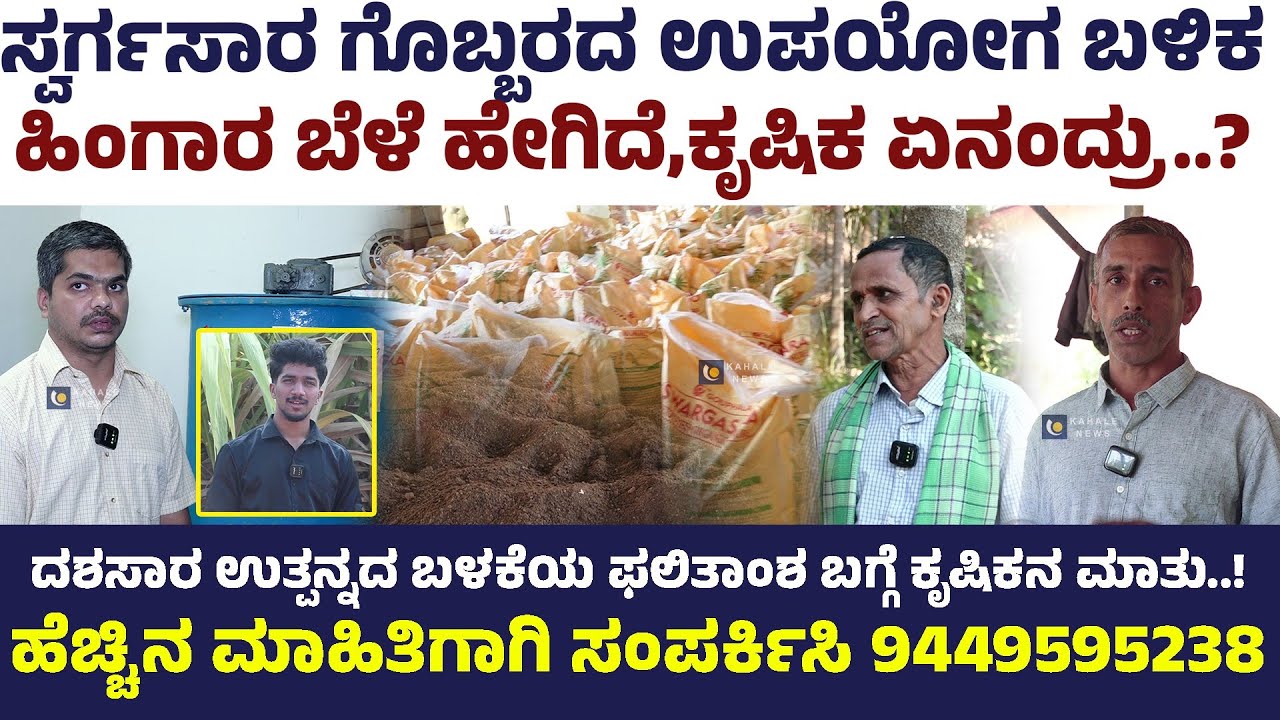 ಸ್ವರ್ಗಸಾರ ಗೊಬ್ಬರದ ಉಪಯೋಗ ಬಳಿಕ ಹಿಂಗಾರ ಬೆಳೆ ಹೇಗಿದೆ, ಕೃಷಿಕ ಏನಂದ್ರು..?-ಕಹಳೆ ನ್ಯೂಸ್
