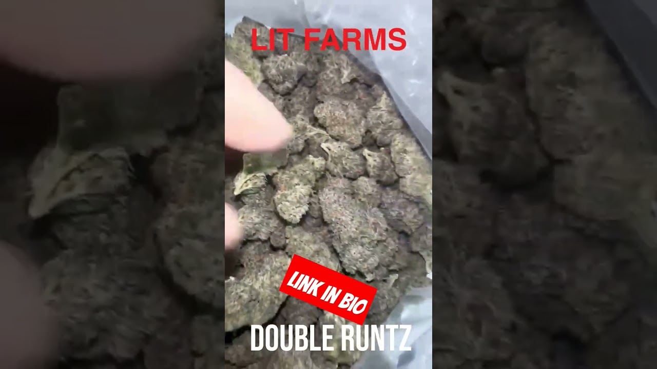 Double Runtz 27% THCa and LOUD terps!