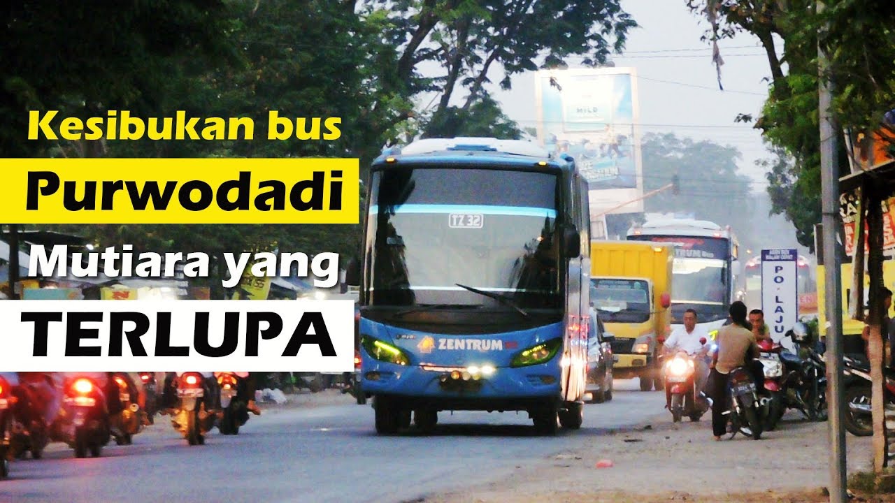 Kesibukan bus Purwodadi...  | Sore hari di Karangawen, Kab. Demak, Jawa Tengah