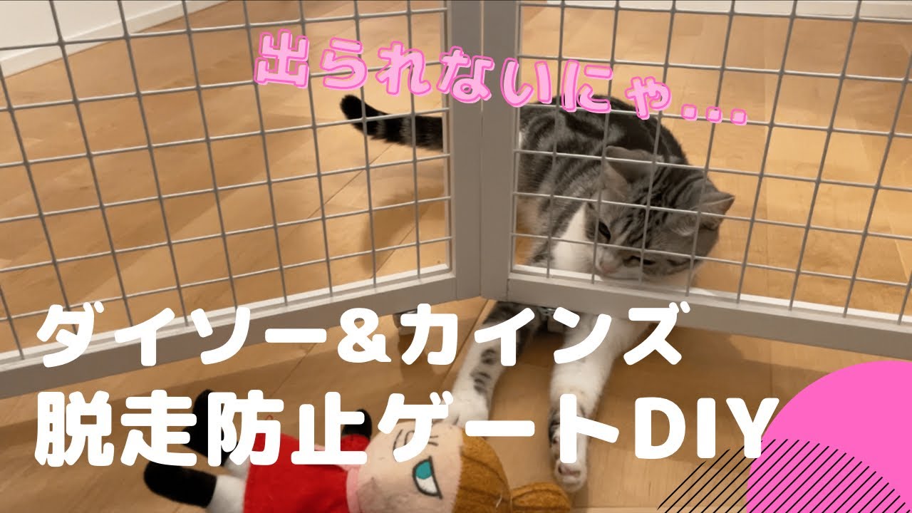 賢い猫も大丈夫！脱走防止ゲートDIYしてみた【猫部屋てんちゃんねる】