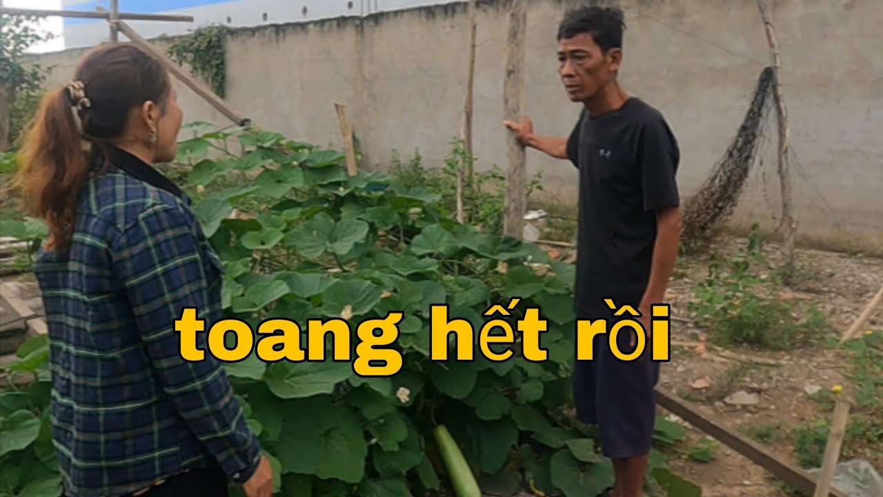 Bao Nhiêu Công Sức Bỏ Sông Bỏ Biển Hết Rồi Bị Hốt Tay Trên Kiểu Này Làm Tư Cà Khịa Tức Qúa Mà