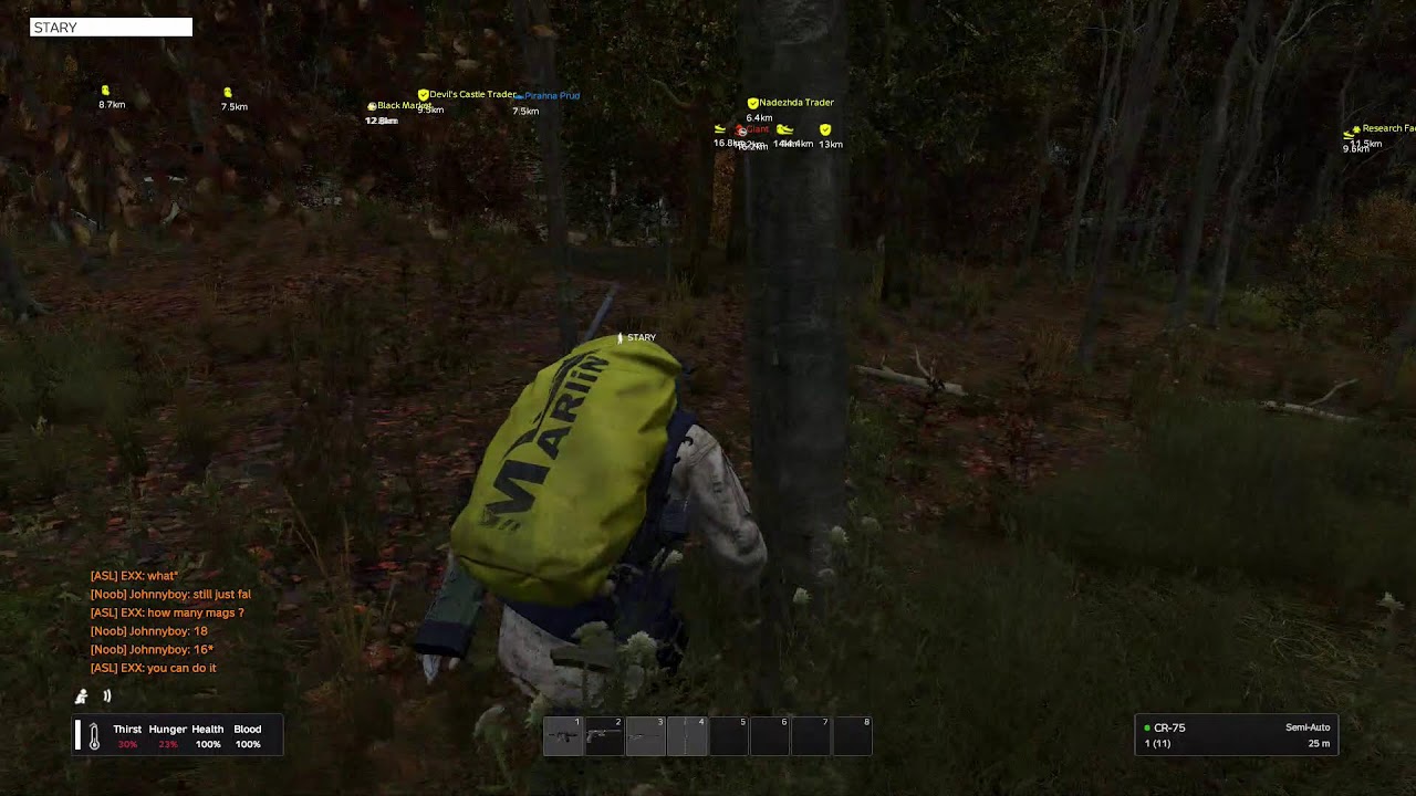 DayZ