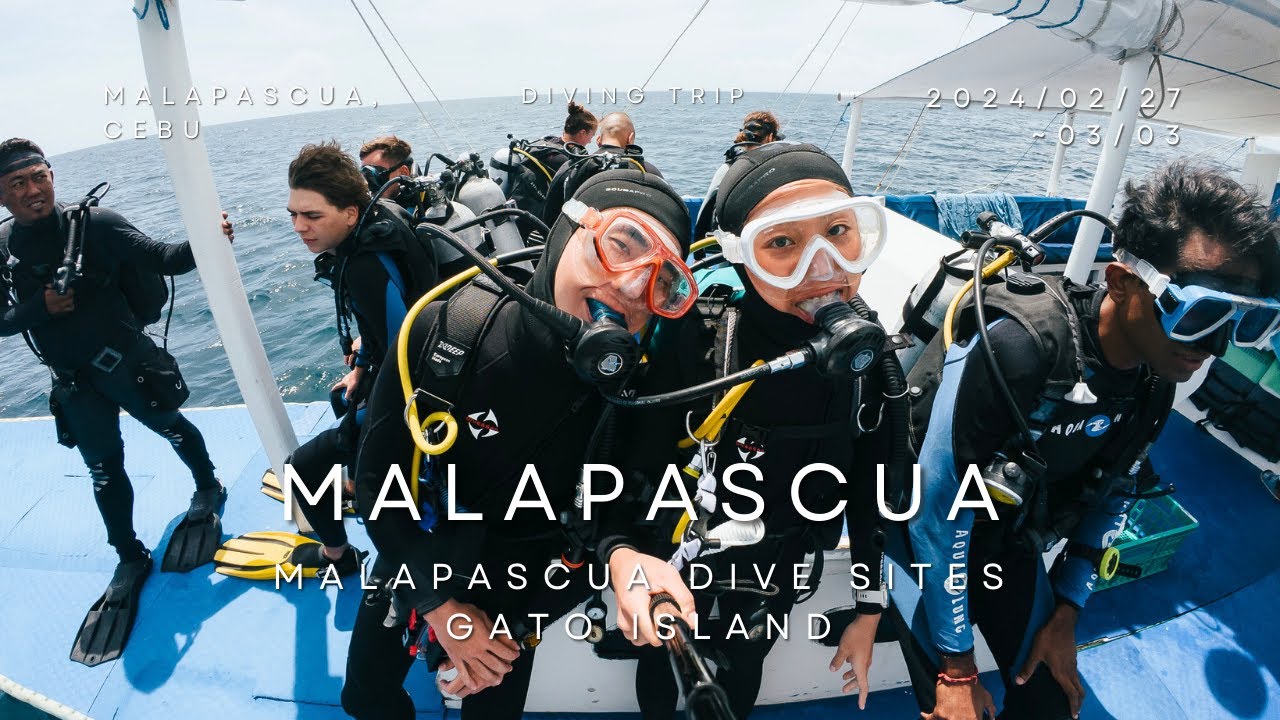 【Malapascua潛水 EP4】軟珊瑚天堂+洞穴探險 貓島潛水 Gato Island