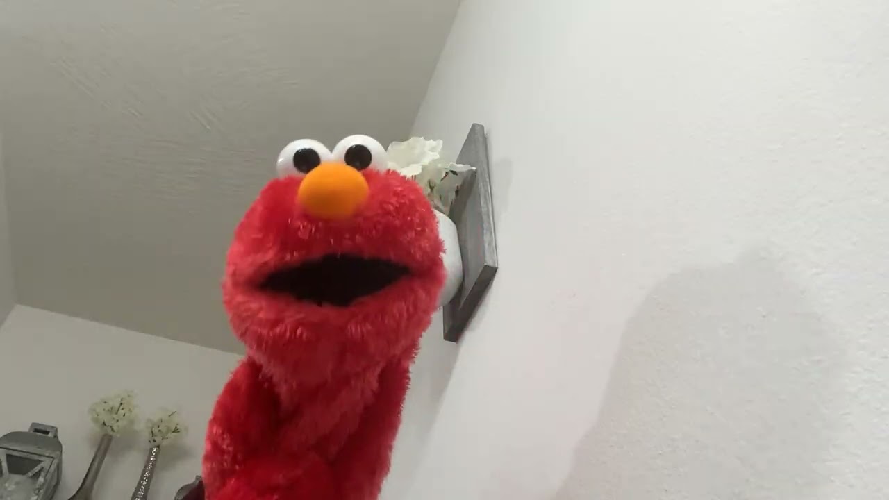Sesame Street 🎶 BIG KID TOO 🎶 A KD Productions (impromptu) Puppet Show