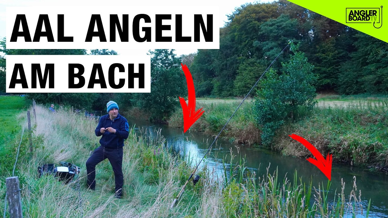 Aal angeln am Bach | nachts auf Grund mit Wurm als Köder am kleinen Fluss Aale fangen | Aalangeln