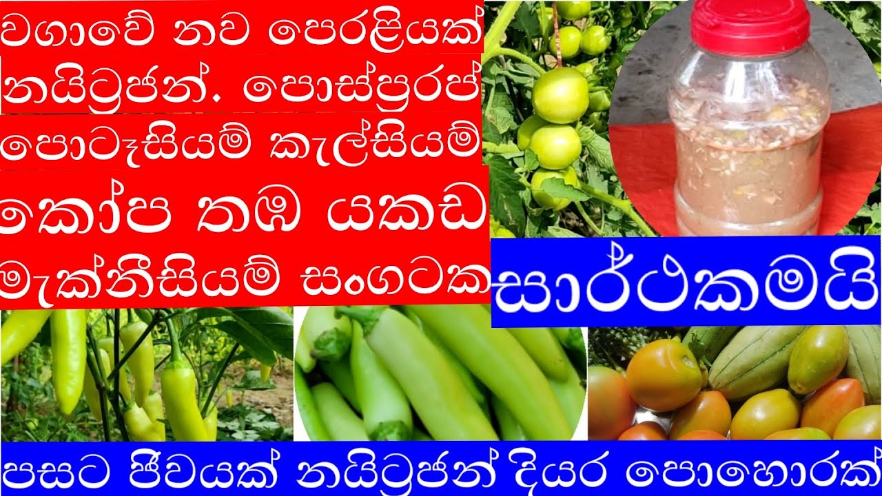 වගාවේ නොසිතූ පෙරලියකට දියර පොහොරක් මූලමන්ඩලයට