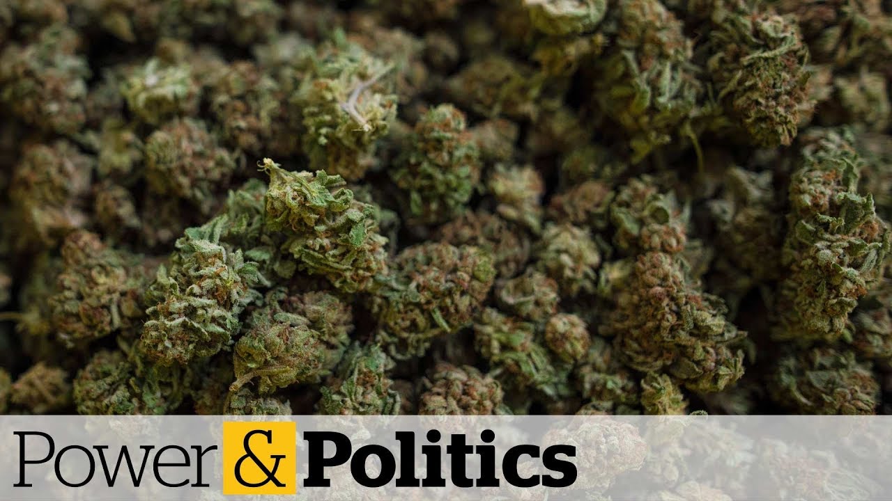Ontario's cannabis retail license lottery