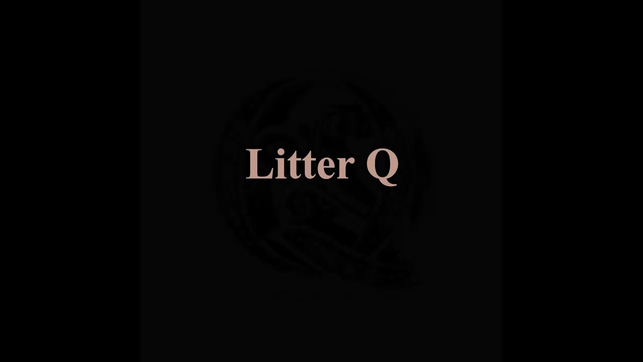 litter Q Fancy Diamonds *CZ