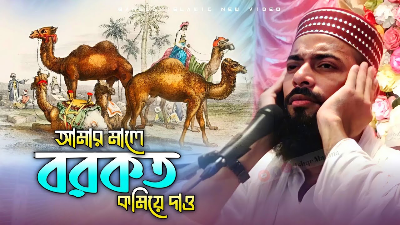 আমার মালে বরকত কমিয়ে দাও || Sanaullah Siddiqui waz || পীরজাদা সানাউল্লাহ সিদ্দিকী ভাইজান