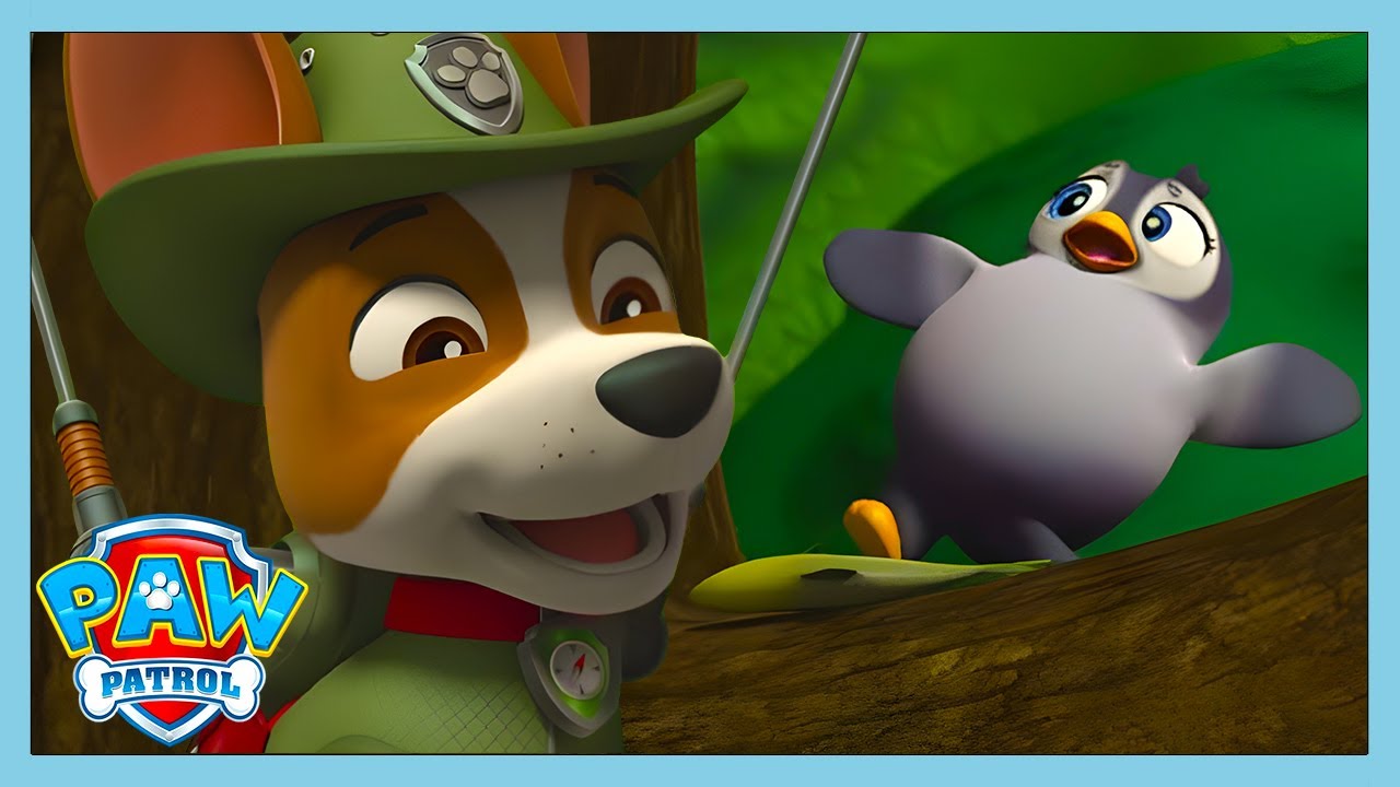 PENGUIN RESCUE! | Paw Patrol | WildBrain Kids