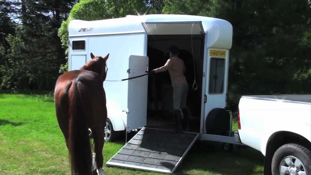 Umesläp B50 rear facing horse trailer