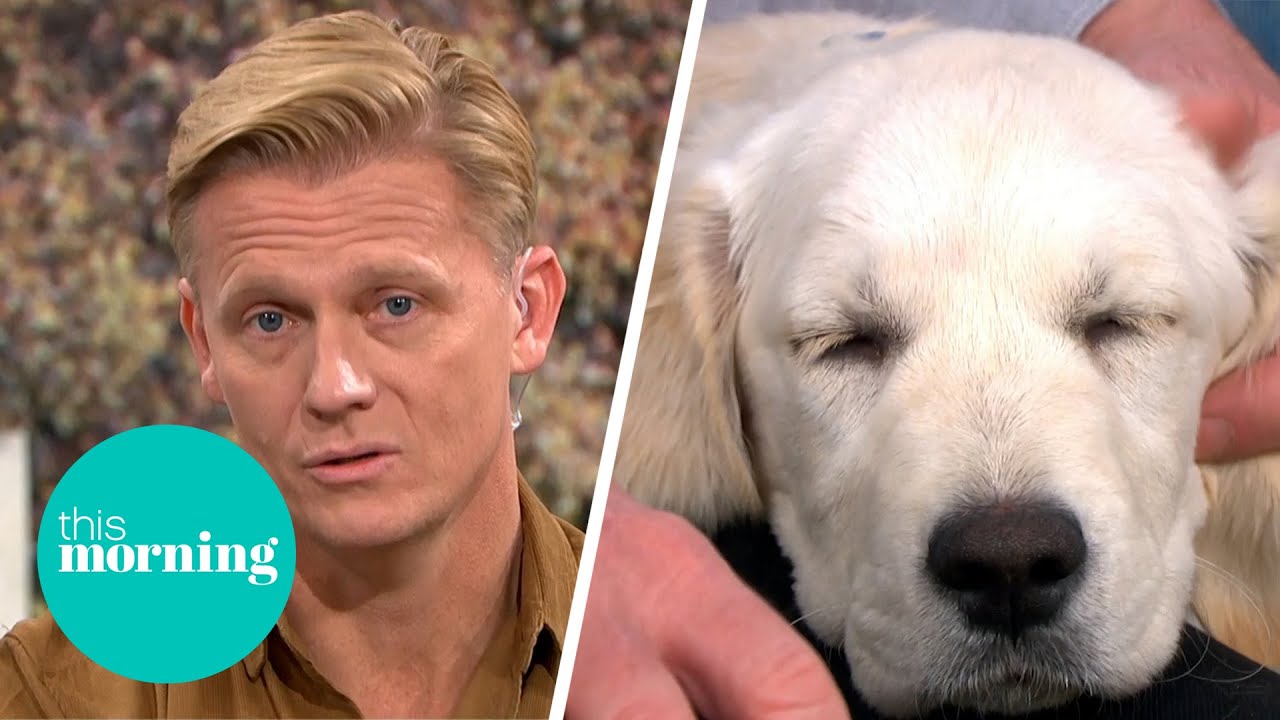 Dr Scott & Bailey Are On Hand To Give Advice On Welcoming a New Pet Into Your Family | This Morning