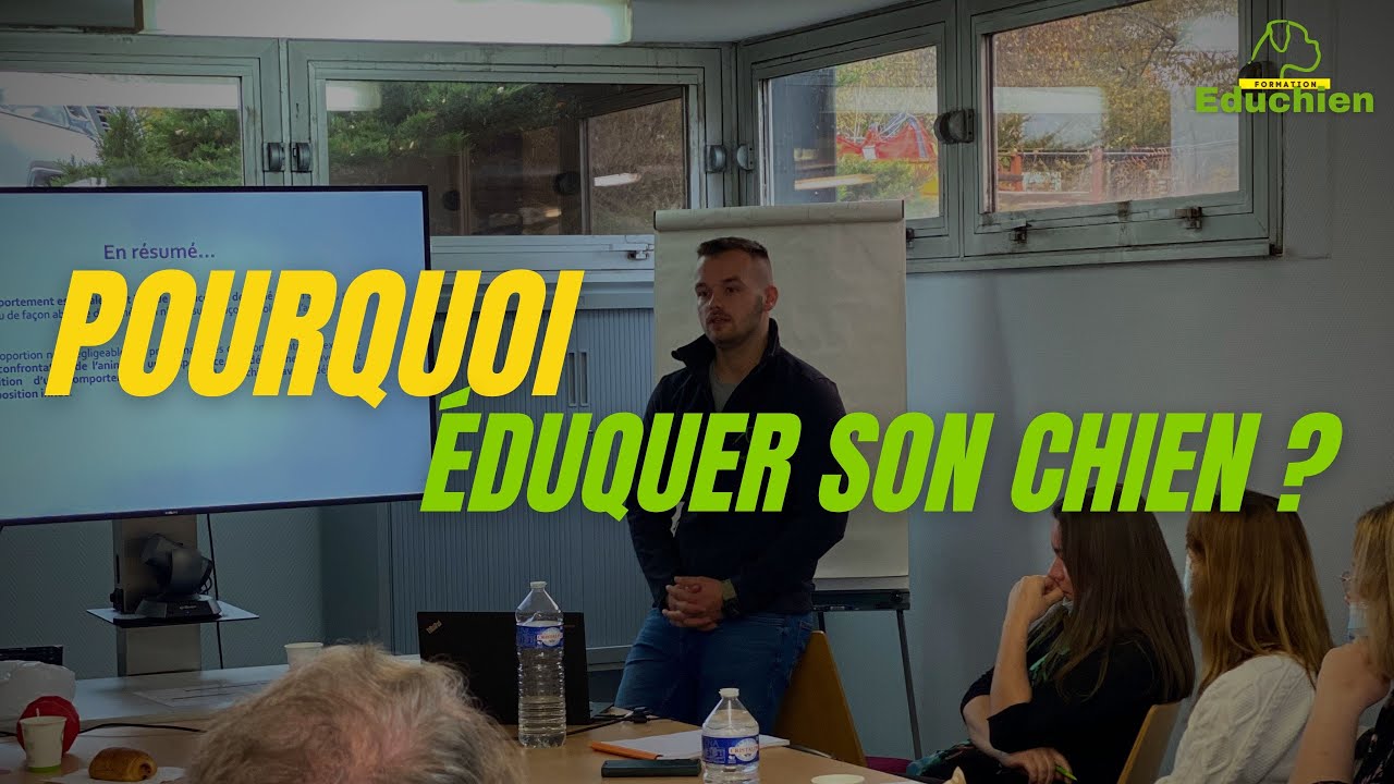 Pourquoi &eacute;duquer son chien ? - EDUCHIEN FORMATION