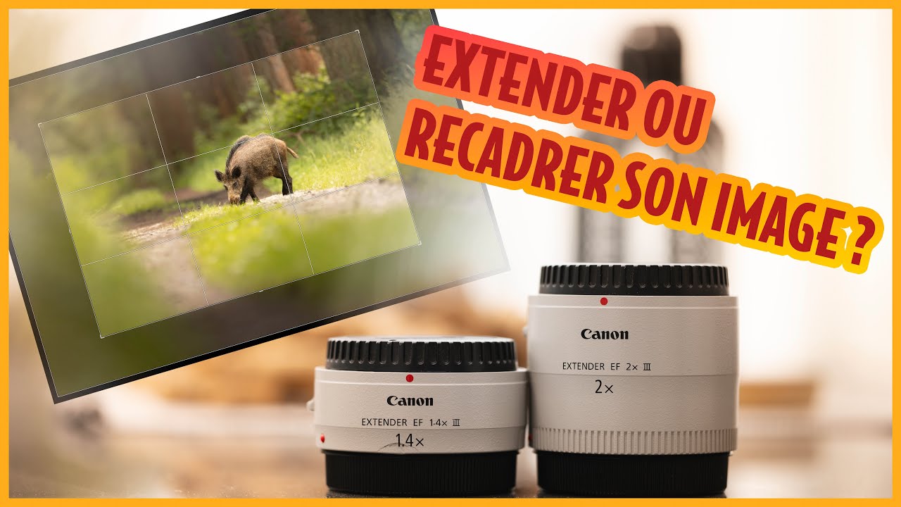 L'OUTIL le plus utile en PHOTO NATURE ! EXTENTER PHOTO #canon #photographieanimaliere