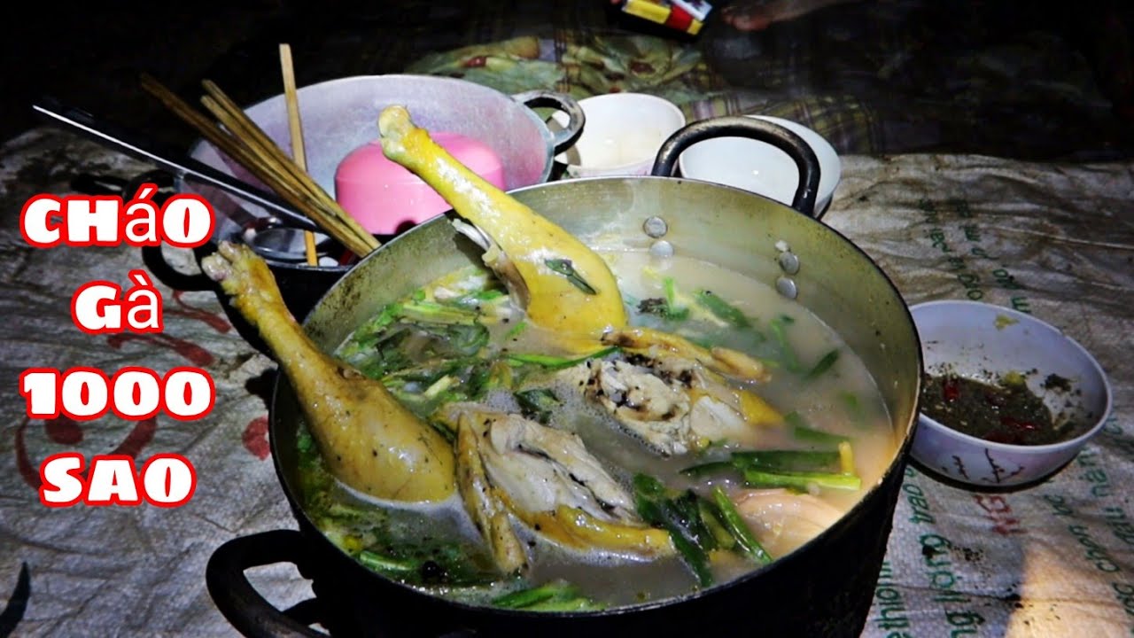 Cháo Gà 1000 Sao | Sống 5 Ngày Bắt Cá Trong Rừng Già ( phần 2 )
