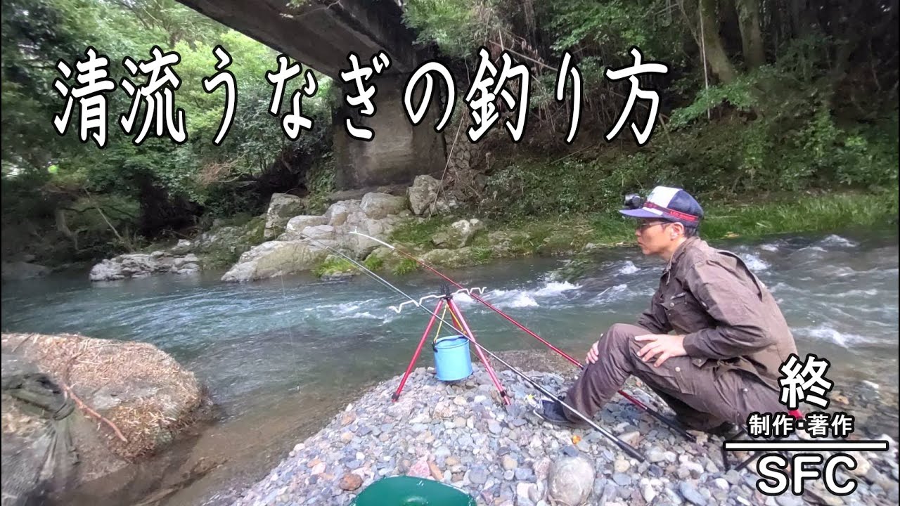 【うなぎ釣り2024】清流うなぎの釣り方