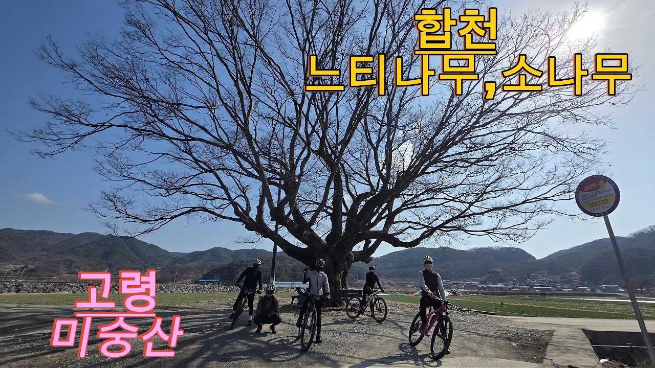 MTBㅣ고령 미숭산ㅣ합천 느티나무,소나무 / 26. 2. 28 #고령 #합천