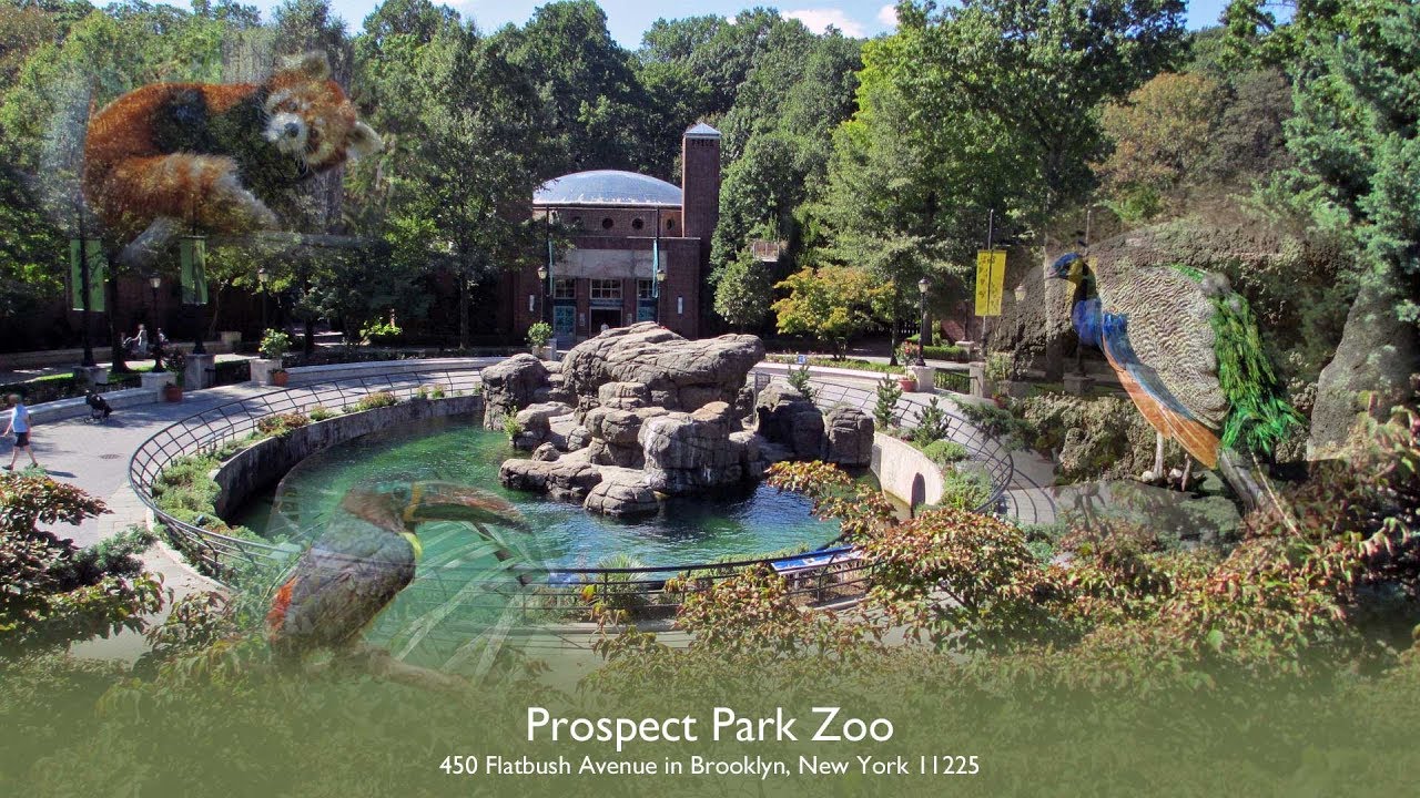 A Day at the Prospect Park Zoo - New York City