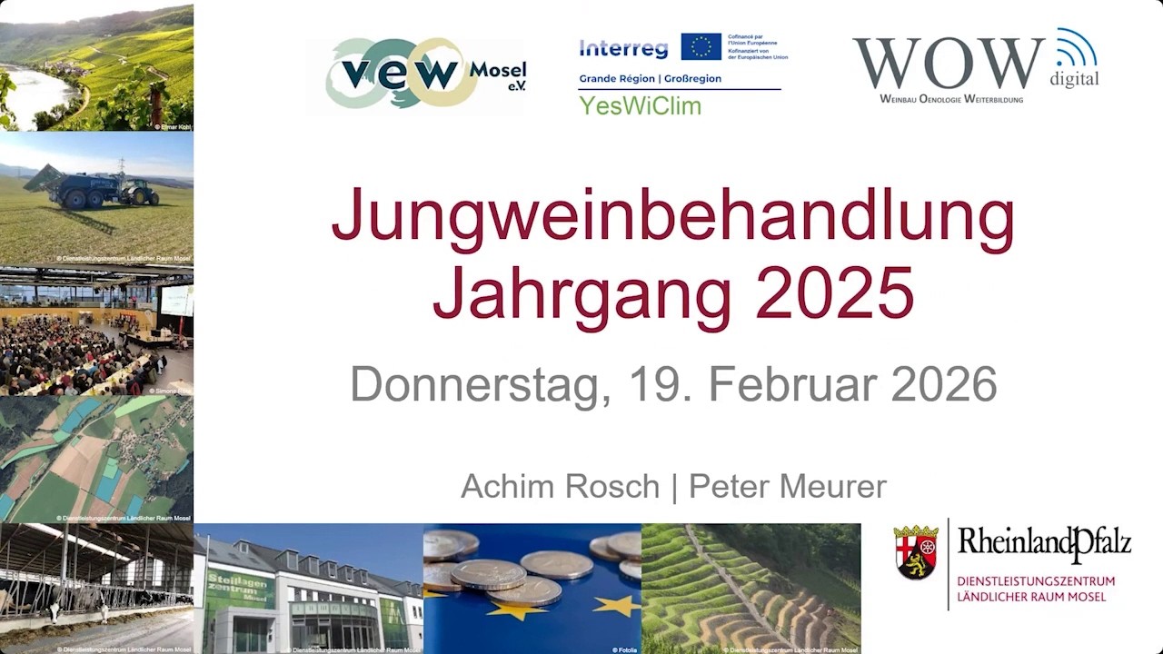 WOWdigital OenoSeminar „Jungweinbehandlung 2025er“