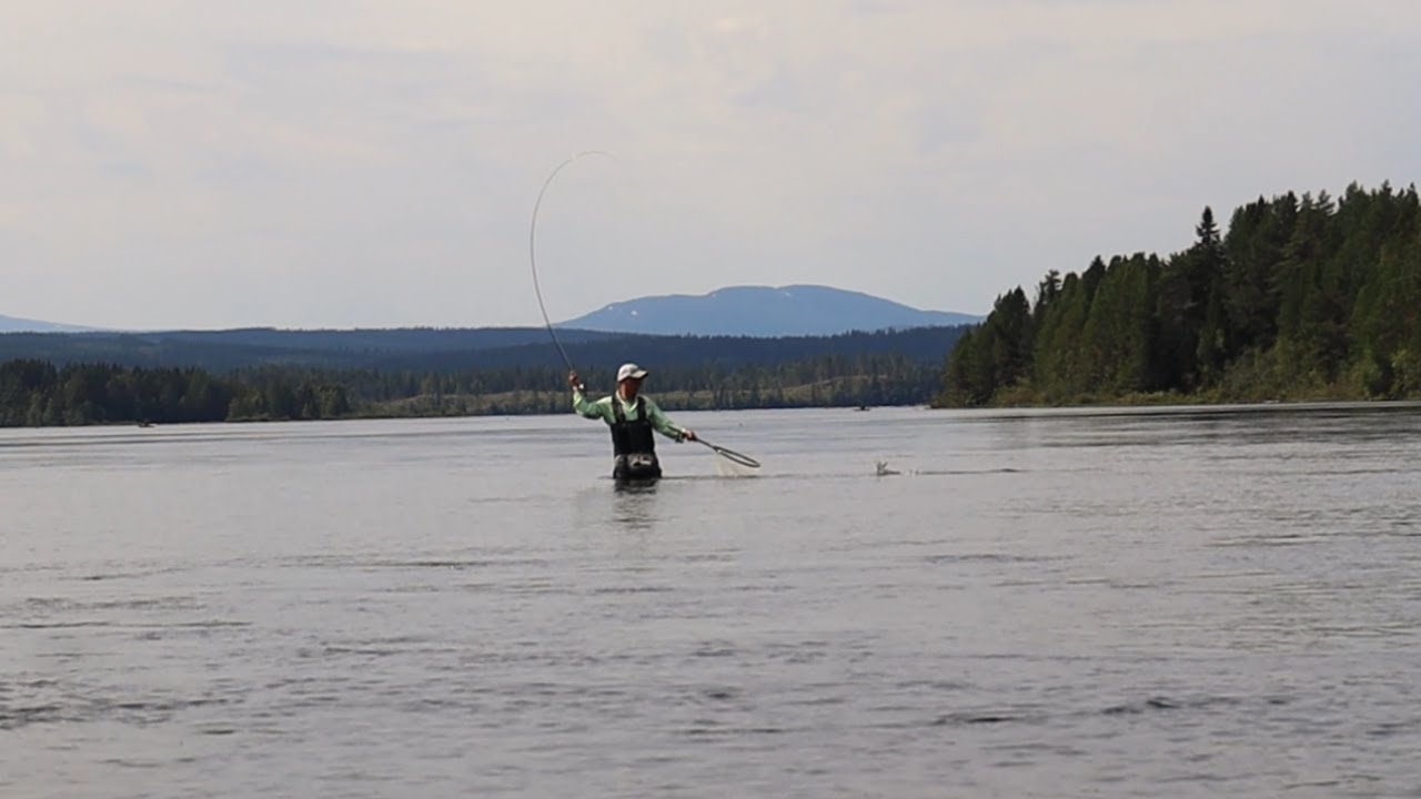 Flugfiske i Jämtland 2022  | Team Kajax.