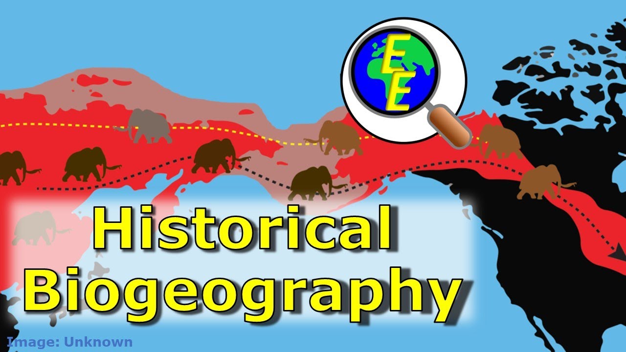 Историческая биогеография: древние биомы, расселение и миграция.