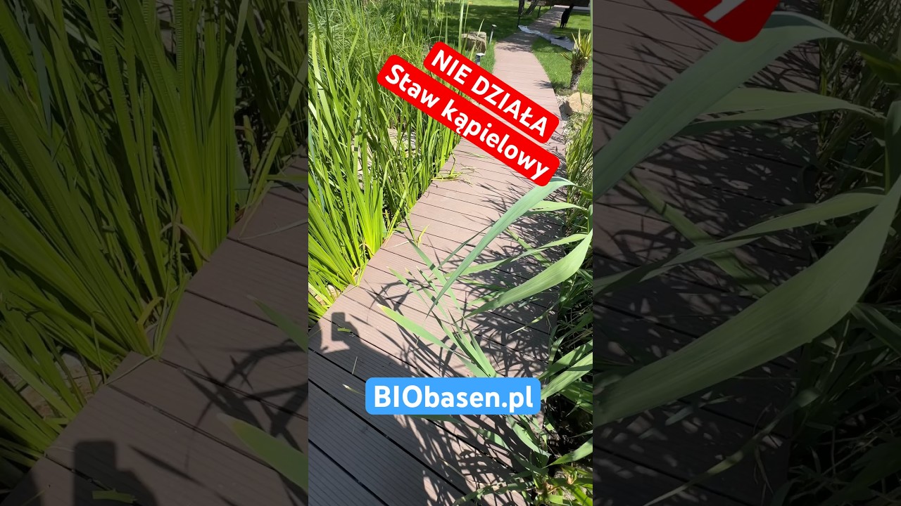 Kolmatacja złoża filtracyjnego w stawie kąpielowym