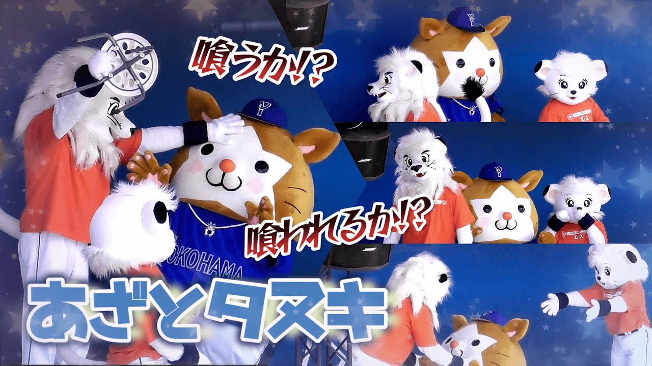 【2024/6/15 ベルーナドーム】肉食白獅子兄妹とあざとタヌキの仁義なき戦い…と言うよりどっちが可愛いか競っているゲームコーナー♪