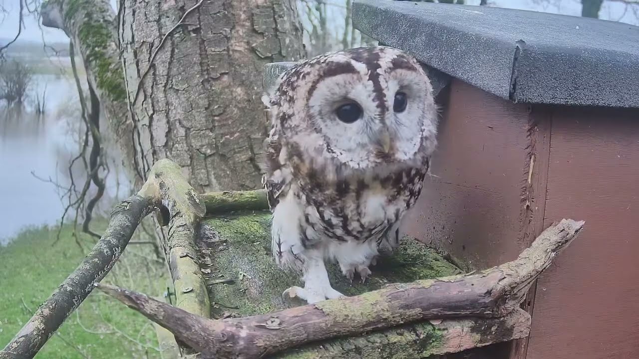 Sometimes you just need to stretch your legs & get some fresh air! 