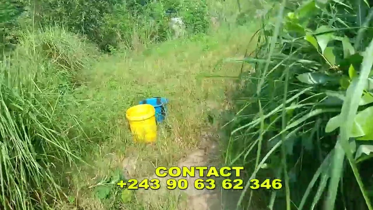 Vente parcelle 90 mètre sur 17 a 25.000$ discutable arrêt camp pm commune de la nsele