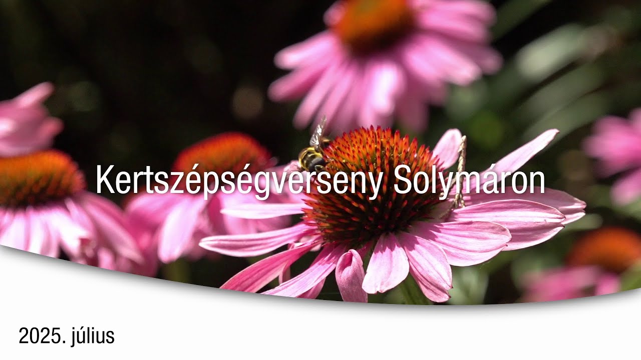Kertszépségverseny Solymáron