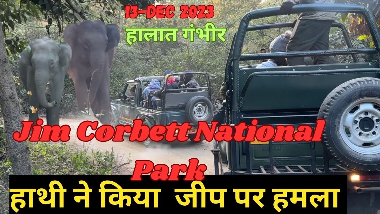 हथियो ने जीप को दोनों तरफ़ से घेर लिया | Jim Corbett Elephant Attack