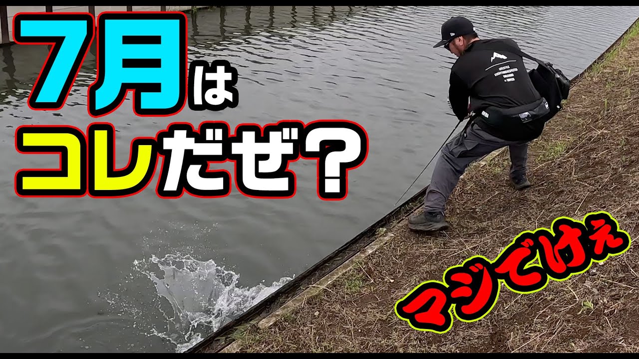 【瞬き禁止】はっきり言って7月にでかい魚狙うにはコレだね